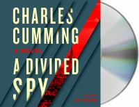 A_divided_spy